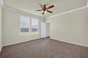 3113 Adrian Creek Drive - Photo 16