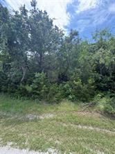 12208 Rolling Oaks Drive - Photo 1