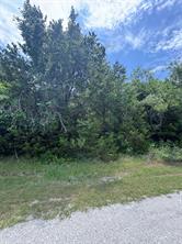 12208 Rolling Oaks Drive - Photo 2