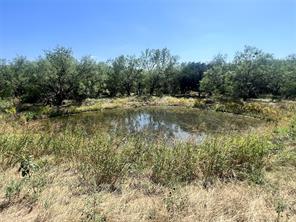 TBD HWY 67 Road - Photo 10