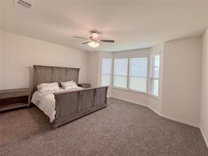 10305 Geode Street - Photo 20