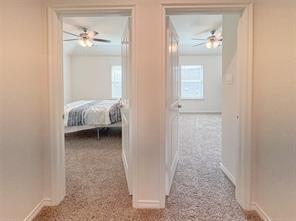 10305 Geode Street - Photo 29
