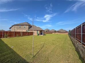 10305 Geode Street - Photo 4