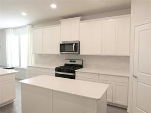 10305 Geode Street - Photo 8