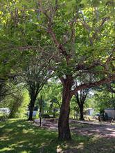 210 Spring Valley Street - Photo 2