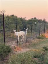 2046 County Rd 103 - Photo 25