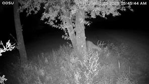 2046 County Rd 103 - Photo 26
