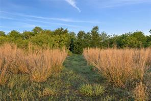 1180 McReynolds RD. Drive - Photo 8