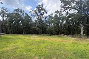 TBD PVT 5948 Road - Photo 1