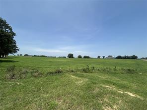 Lot 1 CR 3356 S FM 900 - Photo 1