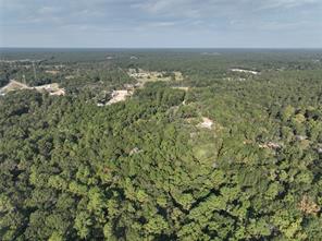TBD Whispering Pines Lane - Photo 2