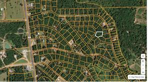 TBD Whispering Pines Lane - Photo 4