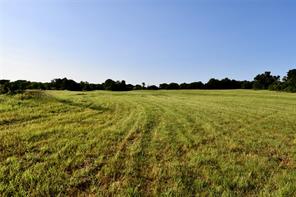 TBD Zion Hill Road - Photo 16
