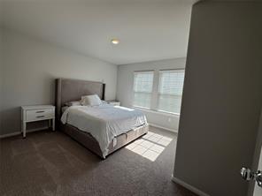 3613 Monte Carlo Lane - Photo 14