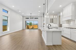 9235 Cardinal Flower Street - Photo 16