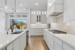 9235 Cardinal Flower Street - Photo 19
