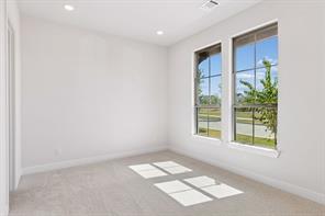 9235 Cardinal Flower Street - Photo 3