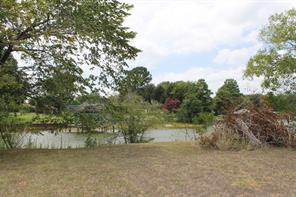 312 Lazy Cane Ranch Road - Photo 5