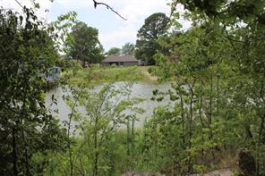 312 Lazy Cane Ranch Road - Photo 8