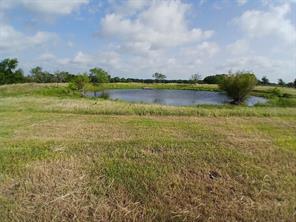 471 HCR 3335 Road - Photo 14