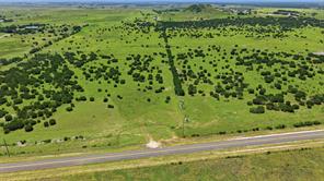 Lot 10 TBD FM 216 - Photo 13