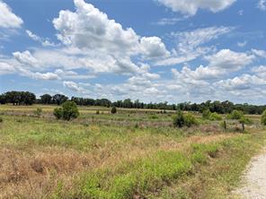 LOT 6 CR 4507 - Photo 19