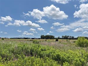 LOT 9 CR 4507 - Photo 16