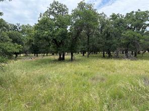 32 Oak Bluff Circle - Photo 11