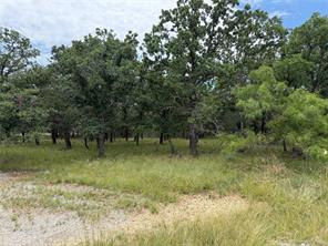 32 Oak Bluff Circle - Photo 4
