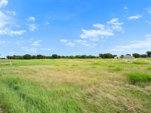 6555 Florance Road - Photo 9