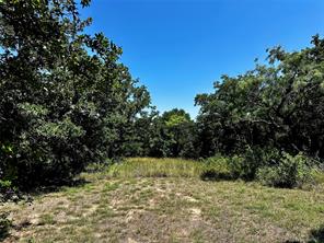 15541 County Road 409 - Photo 18