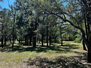 15541 County Road 409 - Photo 19
