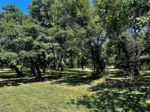 15541 County Road 409 - Photo 23