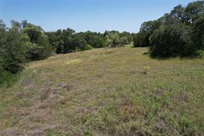 15541 County Road 409 - Photo 25