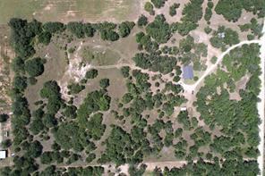 15541 County Road 409 - Photo 27