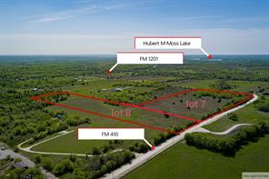 lot 8 County Road 410 - Photo 1