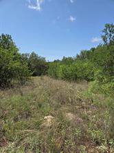 7143 Dillard Drive - Photo 1