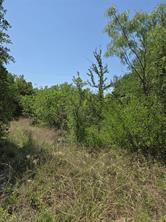 7143 Dillard Drive - Photo 3