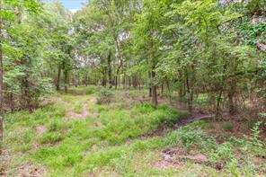9556 County Road 2400 - Photo 25