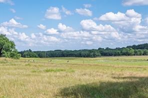 2340 County Road 152 - Photo 20