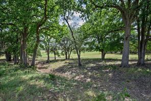 2340 County Road 152 - Photo 21