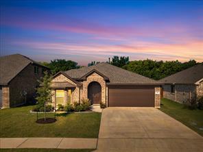 317 Rock Sparrow Lane - Photo 1
