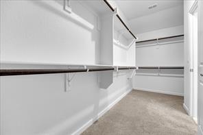 317 Rock Sparrow Lane - Photo 18