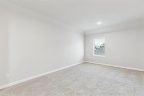 857 Rockcloud Drive - Photo 30