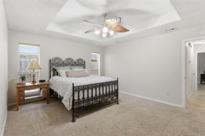 6300 Bronze Leaf Drive - Photo 14