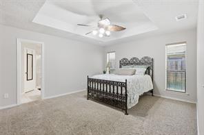 6300 Bronze Leaf Drive - Photo 16