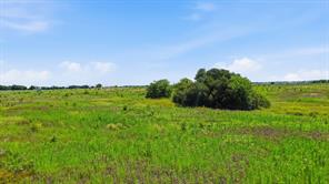 TBD Lot 95 PR 191 - Photo 7