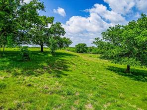 11436 St Hwy 171 - Photo 6
