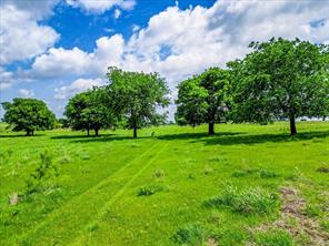 11436 St Hwy 171 - Photo 7