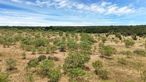 TBD County Road 136 #59 - Photo 10